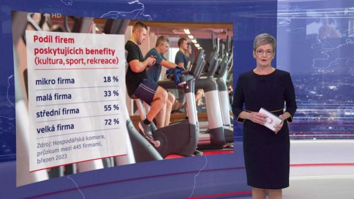 Podíl firem poskytující benefity
