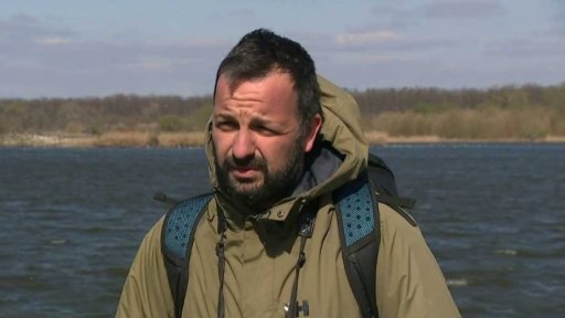 Úhyn racků na ptačí chřipku