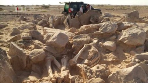 Archeologické nálezy v Ománu s českou stopou