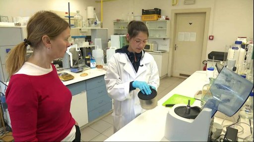 Nadbytek soli na talířích Čechů