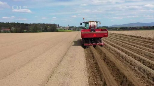 Sázení brambor má zpoždění