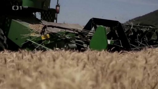 Pesticidy v ukrajinském obilí