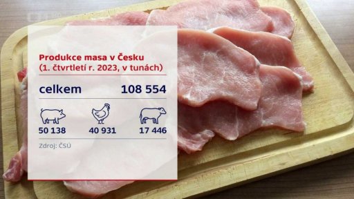 Produkce masa v Česku
