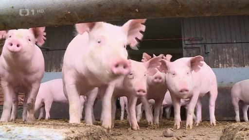 Jan Doležal obhájil funkci