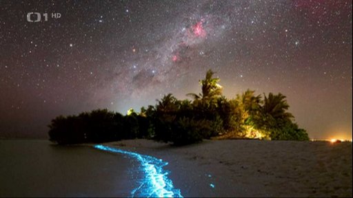 Další úspěch českého fotografa Horálka