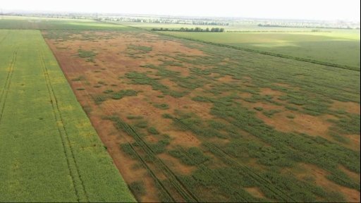 Opatření proti přemnoženým hrabošům