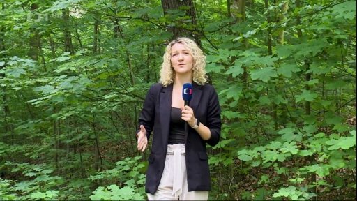 Z děčínské zoo utekly opice