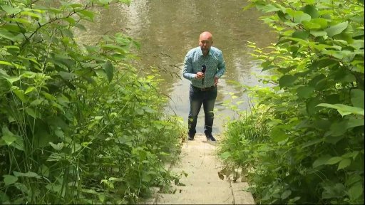 Monitoring kvality vody v Bečvě