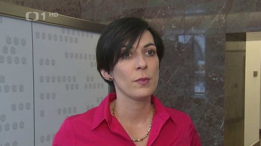 Konsolidační balíček ve sněmovně