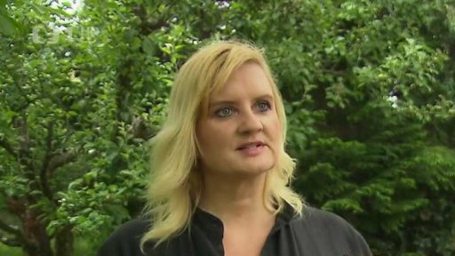 Spor o dělení daňových příjmů