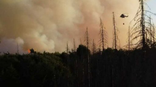 Rok od požáru v Českém Švýcarsku