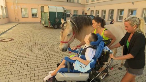 Terapie na koňském hřbetu