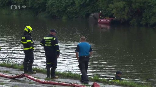 Uhynulé ryby v Odře