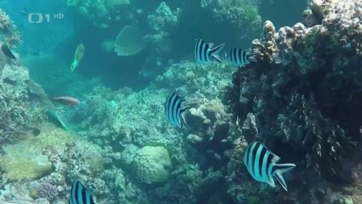 Rekordní teplota oceánů