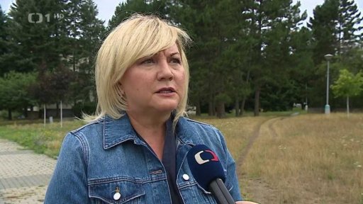 DPH u zdravotnických pomůcek