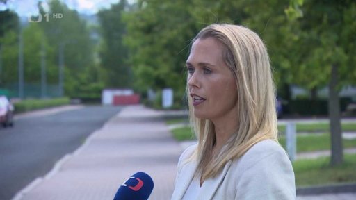 Zaměstnávání vězňů