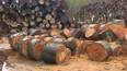 Ceny dřeva klesají