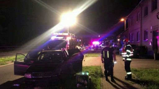 Zadržený převadeč