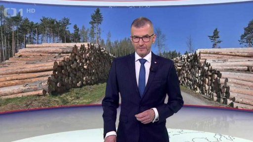 Prodej dřeva z kůrovcové kalamity