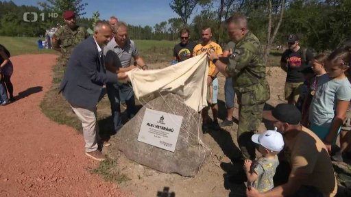 Sázení stromů v Brdech