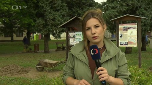 Následky nočních bouřek