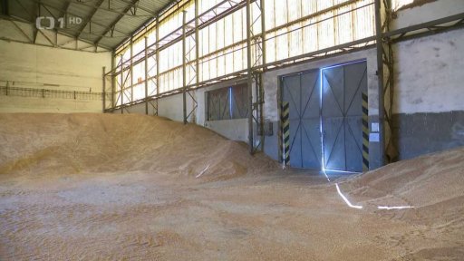 Nízké výkupní ceny obilí