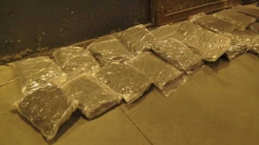 Odhalení gangu pašeráků konopí