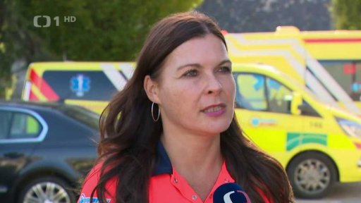 Útok sršňů na děti v Brně