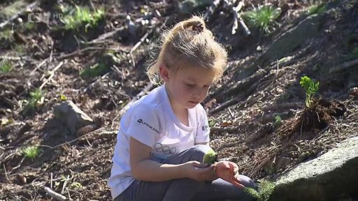 Pomoc s obnovou i úklidem hor