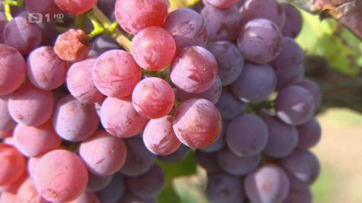 Vliv na přířodní cykly