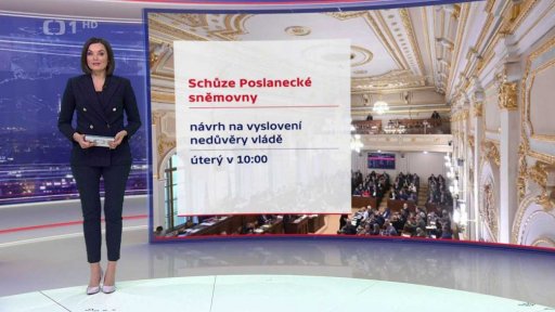 Schůze Poslanecké sněmovny