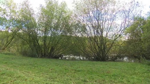 Odpůrci D3 podají kasační stížnost