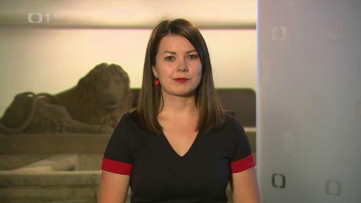 Sněmovna o nedůvěře vládě