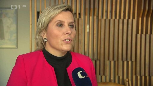 Namátkové kontroly na hranicích