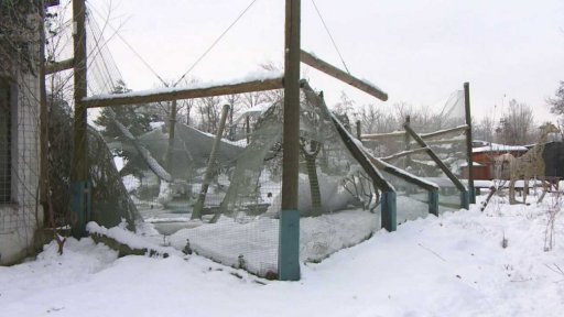 Voliéra zničená náporem sněhu