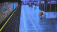 11 let vězení za pobodání cestujícího v metru