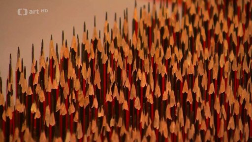 Výstava čínského disidenta ve Varšavě