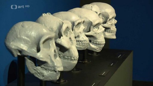 Když Brnem táhli mamuti