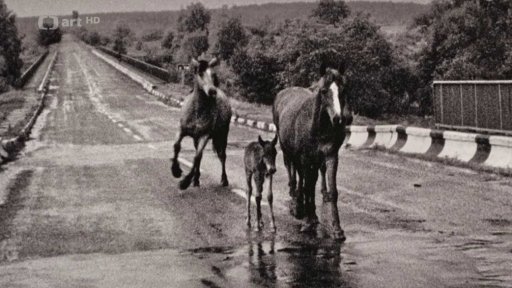 České snímky Ukrajiny v USA