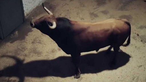 Výstava děl Martina Krajce