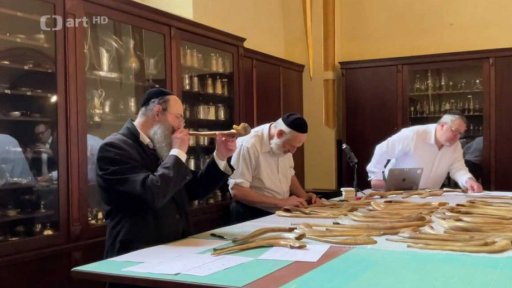 Vědecký experiment v Židovském muzeu