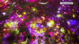 TeamLab Planets v Tokiu