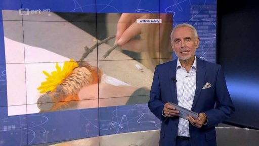 Krátké zprávy z kultury