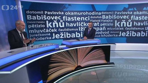 „Politické“ novotvary v češtině