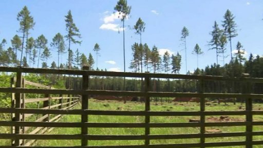 Otazníky kolem lovu v Lánské oboře