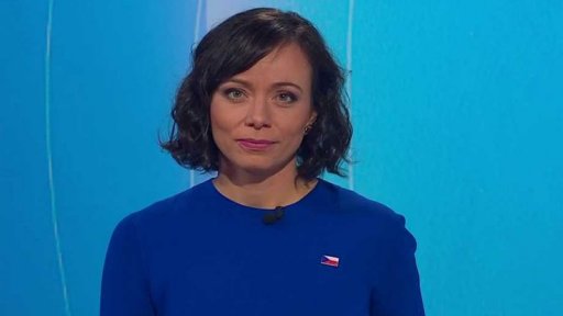 Zpravodajský servis