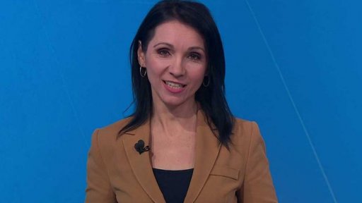 Zpravodajský servis