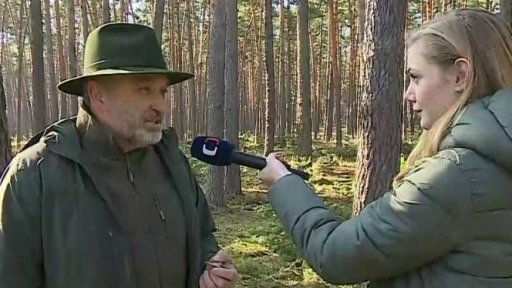 Začínají Dny za obnovu lesa