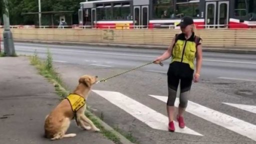 Světový den porozumění autismu