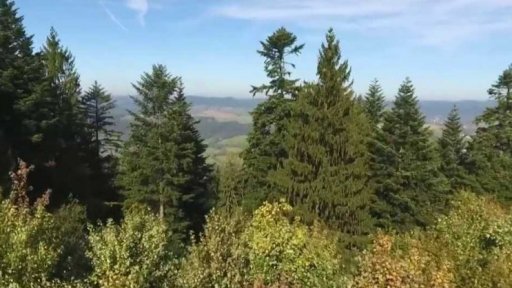 V Česku přibývá tzv. bezzásahových lokalit